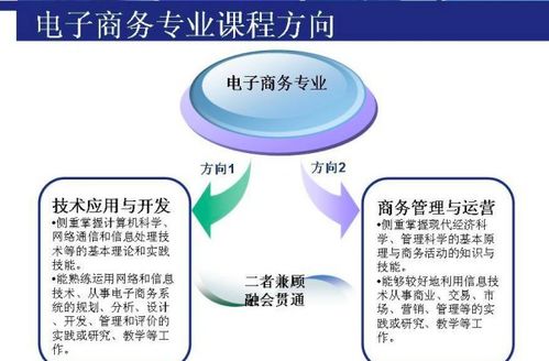 电子商务专业报考职位