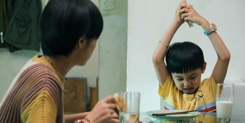 弟弟因病离世 哥哥交还2套房给侄女