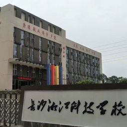 电子商务大专都学啥专业