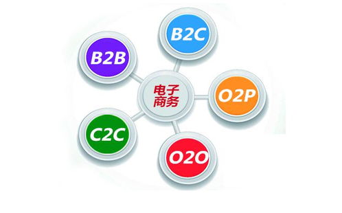 大一转电子商务专业
