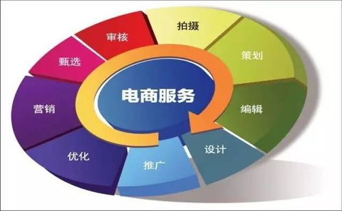 电子商务专业学什么东西