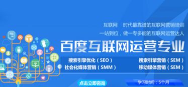 电子商务专业技术主系列